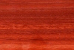 456.jpg